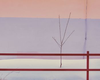 Close-up of bare branches against sky during winter