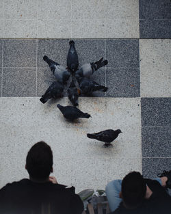 High angle view of people on street