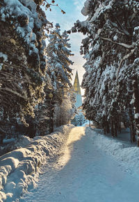 Trees on snow covered landscape