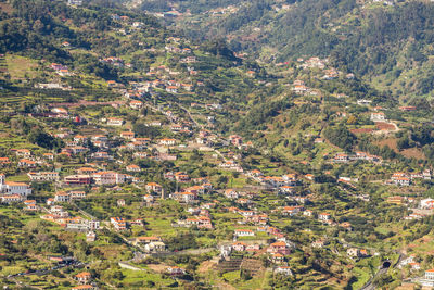 High angle view of trees in forest