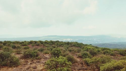 Scenic view of green landscape and mountains