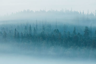 Scenic view of snow covered landscape