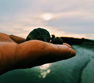 Close-up of hand holding sea against sky during sunset