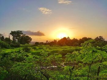 Scenic view of field against sky during sunset