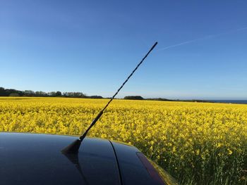 Car parked by flowering field against clear blue sky