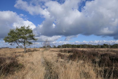 Scenic view of land against sky