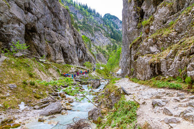 Scenic view of waterfall