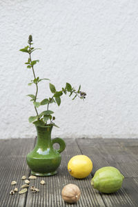 Plant in vase by lemon on wood against wall