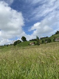 Scenic view of agricultural field against sky