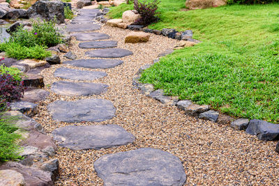 View of footpath in garden