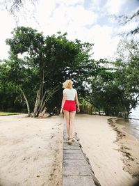 Rear view of woman walking with umbrella against trees