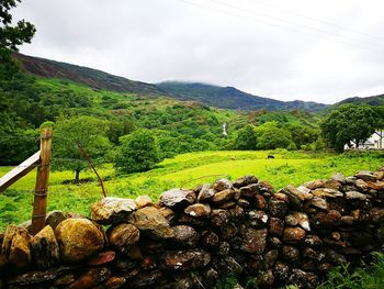 Scenic view of landscape against sky