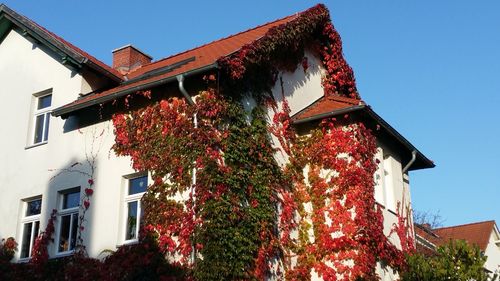 Low angle view of house against clear sky