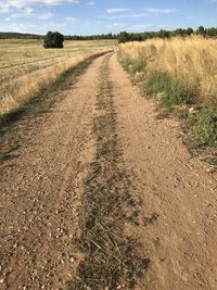 Dirt road on field against sky