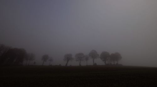 Trees on field against sky during foggy weather