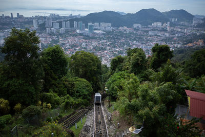 High angle view of trees and mountains