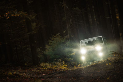 Car on field in forest