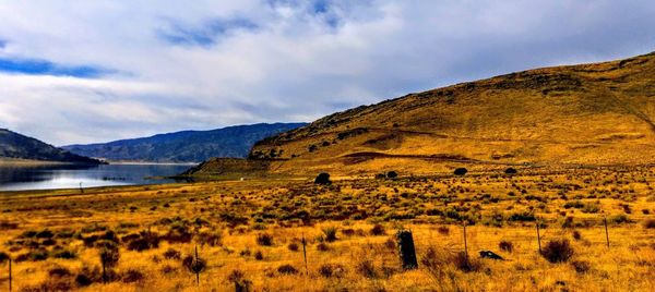 Scenic view of field against sky