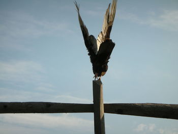 Low angle view of bird perching on wooden post against sky