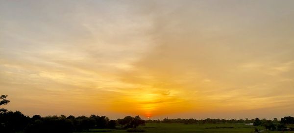 Silhouette trees on field against sky during sunset