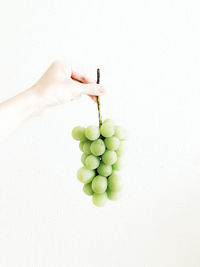 Hand holding fruit over white background