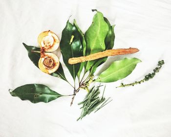 High angle view of vegetables on table against white background