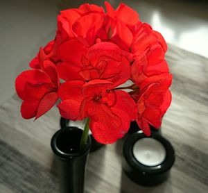 Close-up of red flowers