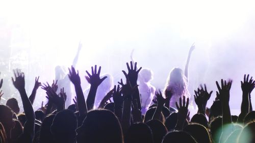 Group of people at music concert