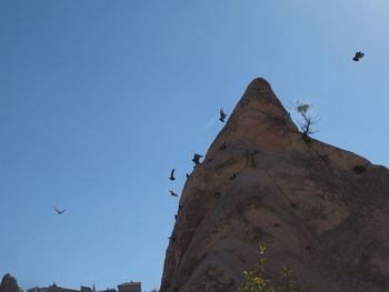 Low angle view of eagle flying against clear blue sky