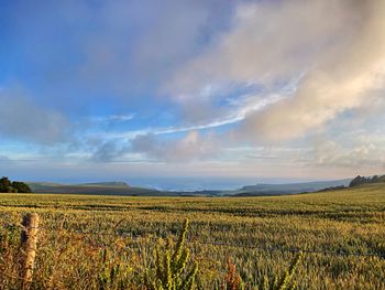 Landscape dorset