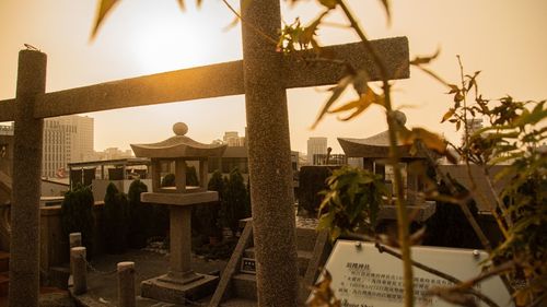 Panoramic view of trees and buildings against sky