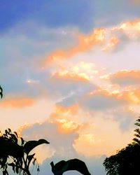 Low angle view of silhouette trees against sky at sunset