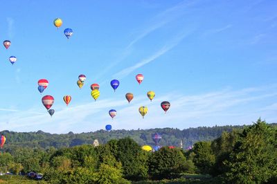 Hot air balloons flying in sky