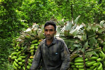 Farmer transporting banana by a van to local market
