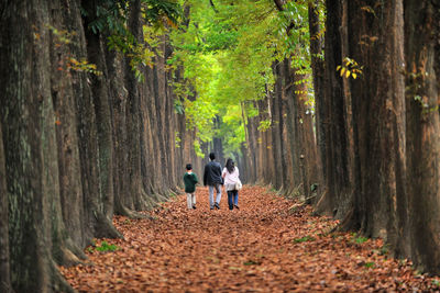 Rear view of parents walking with son amidst trees during autumn