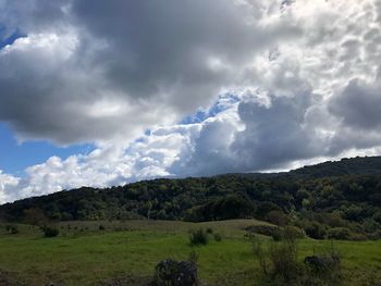 Scenic view of landscape against sky