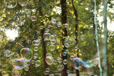 bubble