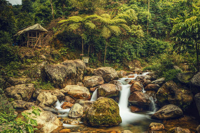 Stream flowing through rocks in forest