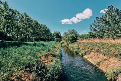 Scenic view of canal amidst trees against sky