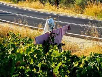 High angle view of scarecrow against road