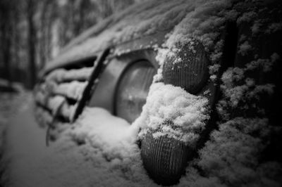 Close-up of snow on tree