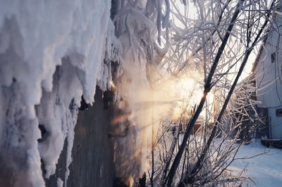 Scenic view of snow covered landscape