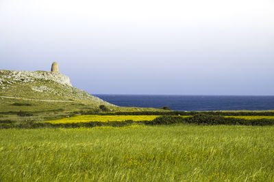 Scenic view of grassy field by sea against clear sky