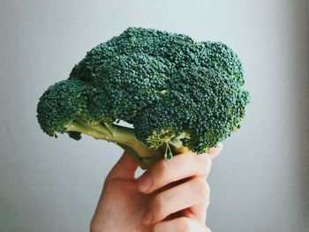 Broccoli in a hand 