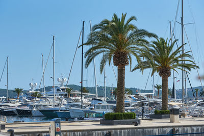 Boats in harbor