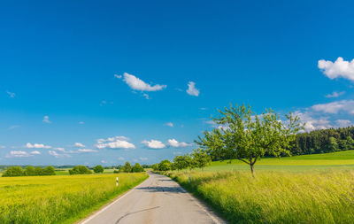 Empty road amidst agricultural field against blue sky