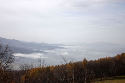 View of trees on landscape against cloudy sky