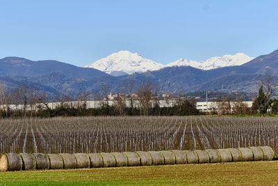 Scenic view of field by mountains against clear sky