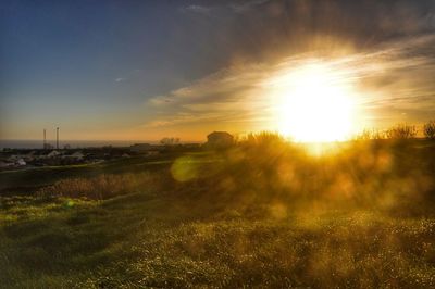 Scenic view of field against sky during sunset