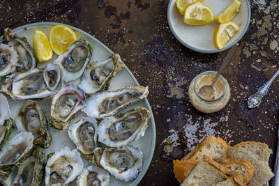 High angle view of oysters in plate